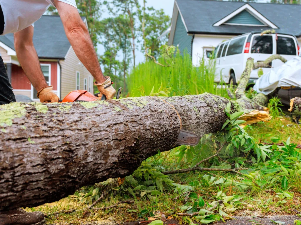 Tree removal near a home